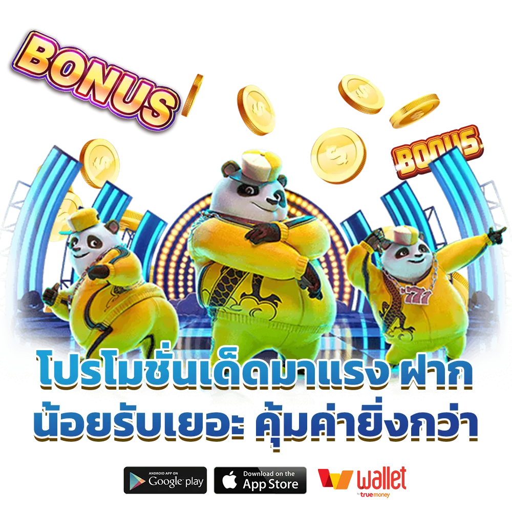 ma-loch ครบทุกค่าย